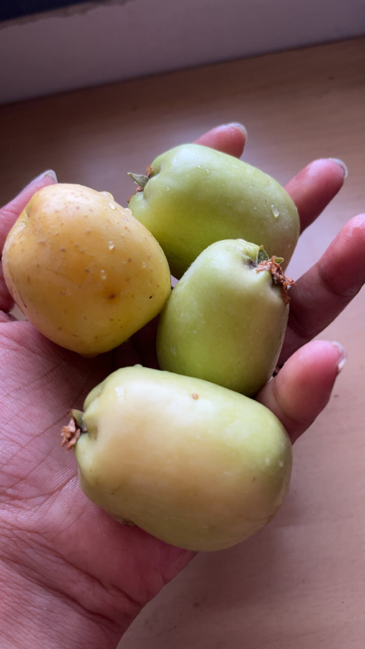 Packing fresh fruits for delivery