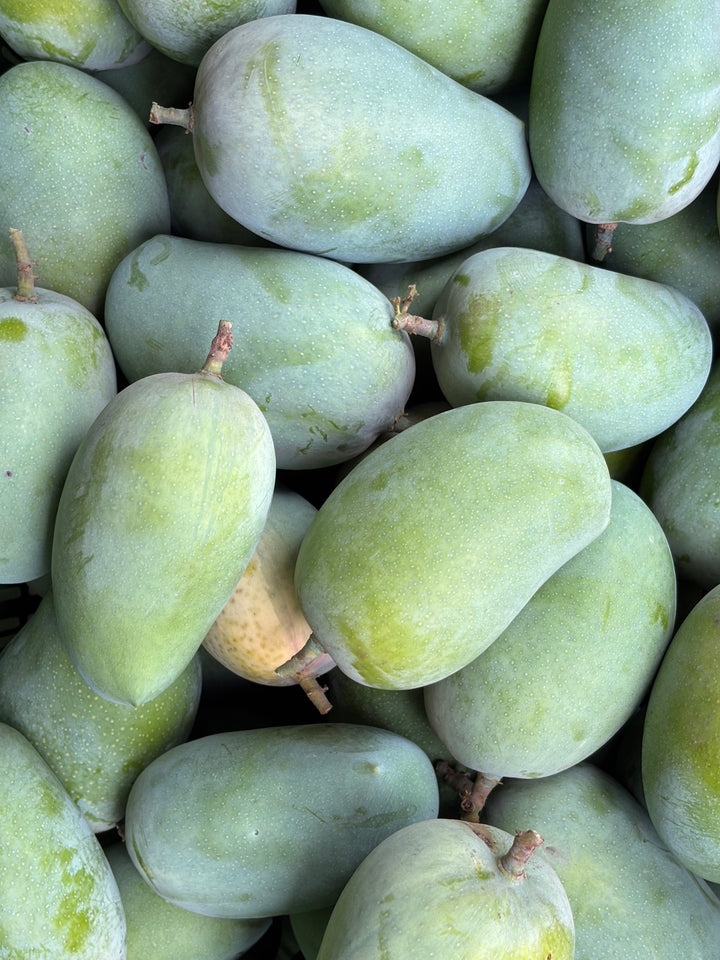 Fresh harvest at Keshavam Farms