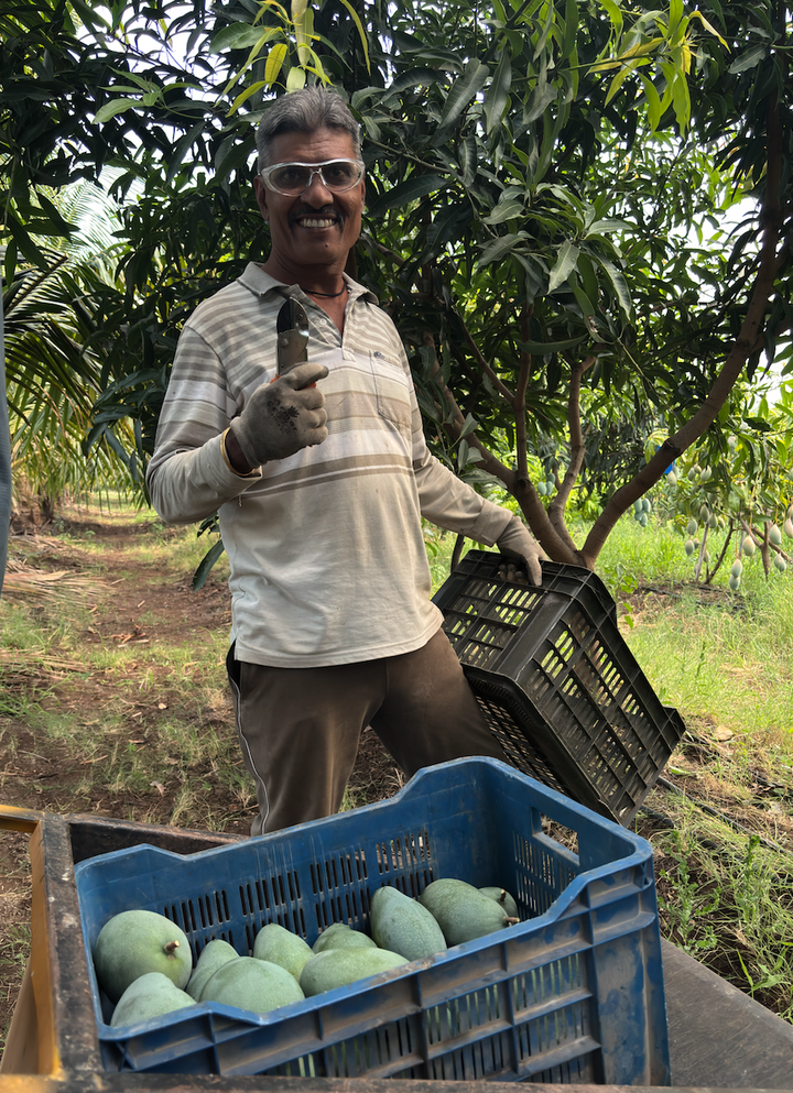 Farm-fresh produce ready for delivery
